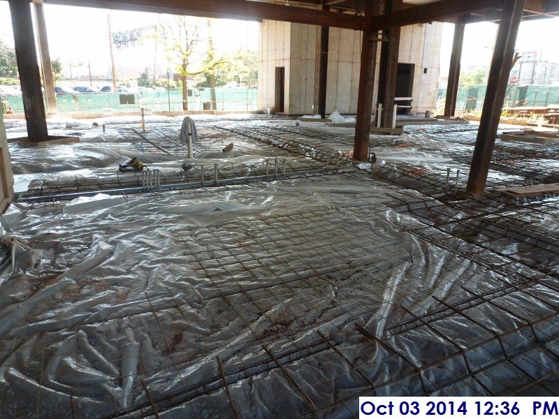 Continued prepping and installing wire mesh for the slab on grade Facing South (800x600)
